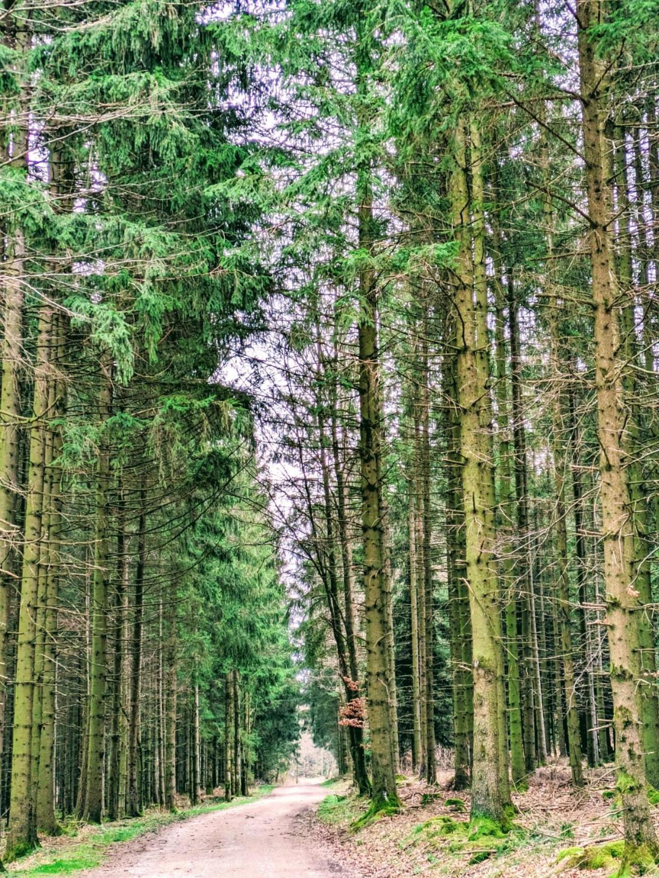 Haus Paradiesecke Waldbrunn  Zewnętrze zdjęcie
